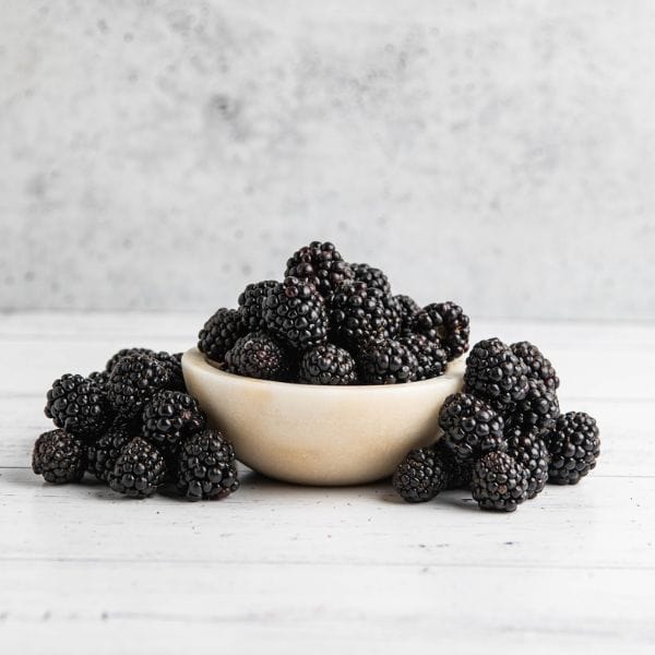 Jumbo Blackberries