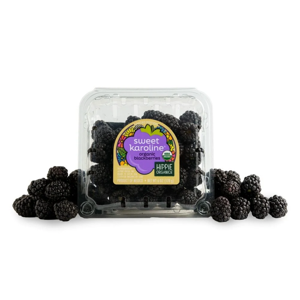 Organic Sweet Karoline® Blackberries