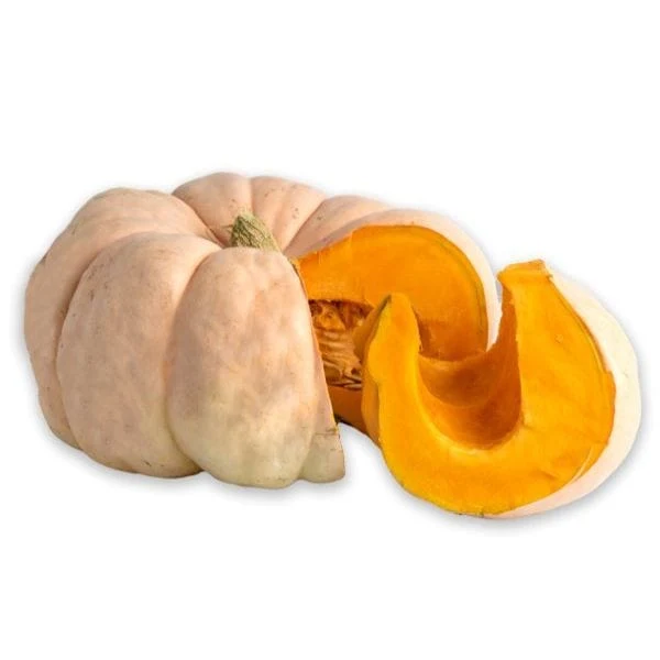 Pink Pumpkin Patch Donation 2 Pink Pumpkin Patch Donation