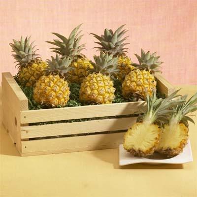 Baby Pineapple Crate