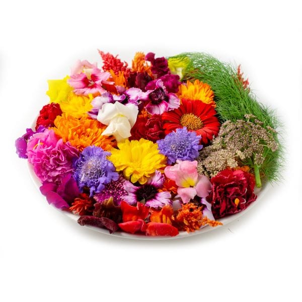 Edible Flowers 7 Edible Flowers