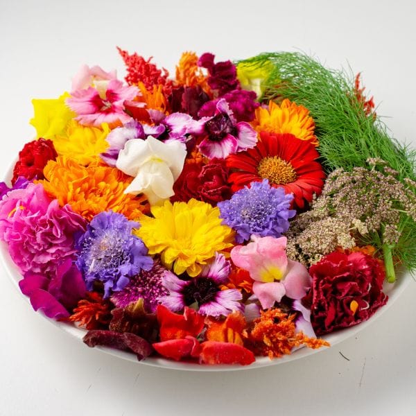 Edible Flowers