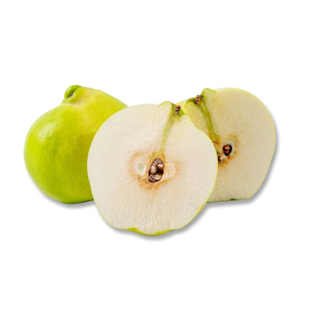 Pineapple Quince 1 Pineapple Quince