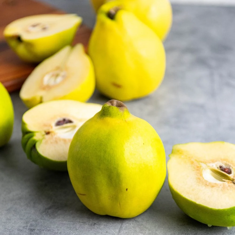 Pineapple Quince 2 Pineapple Quince