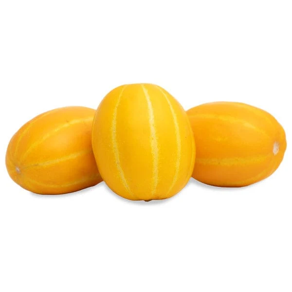 Korean Melons 2 Korean Melons