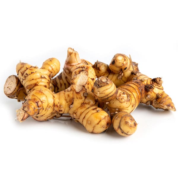 Galanga Root