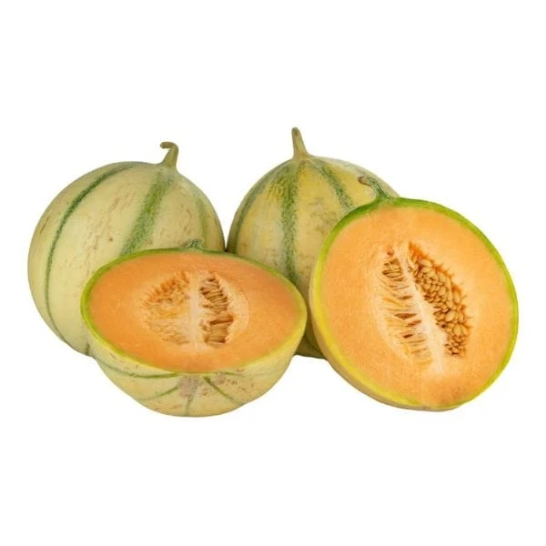 Charentais Melons
