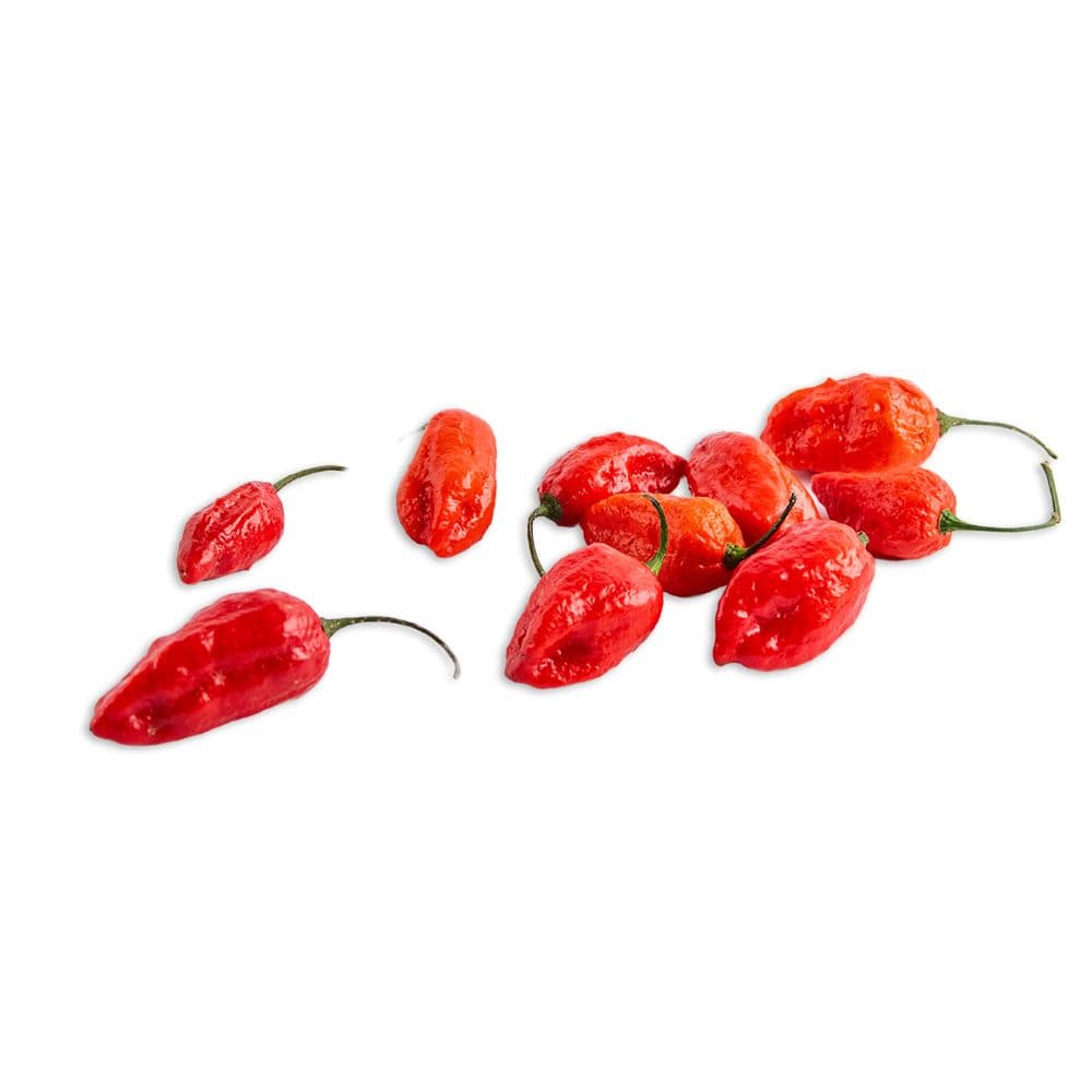 Bhut Jolokia Peppers