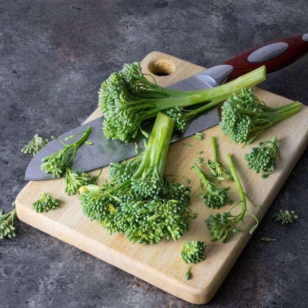 Baby Broccoli 3 Baby Broccoli