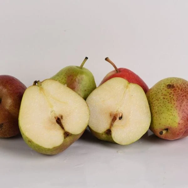 Forelle Pears