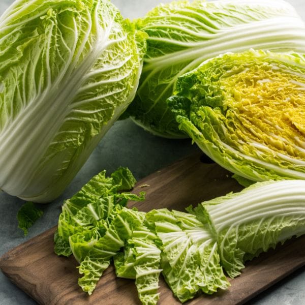Napa Cabbage 2 Napa Cabbage