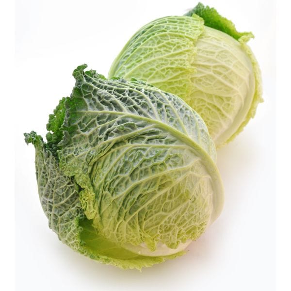 Savoy Cabbage 8 Savoy Cabbage