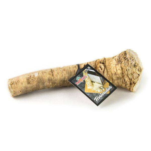 Horseradish Root 1 Horseradish Root