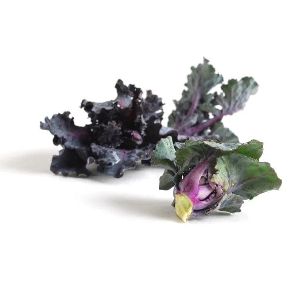 Kale Sprouts 2 Kale Sprouts