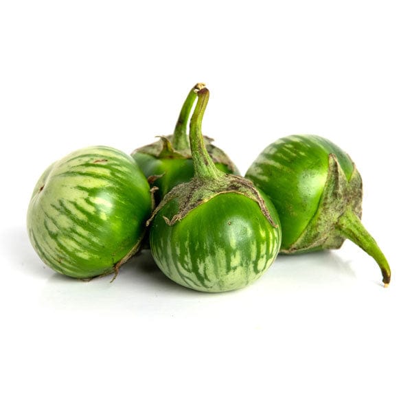 Thai Eggplant 1 Thai Eggplant
