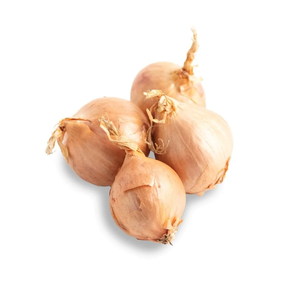 Organic Shallots 2 Organic Shallots