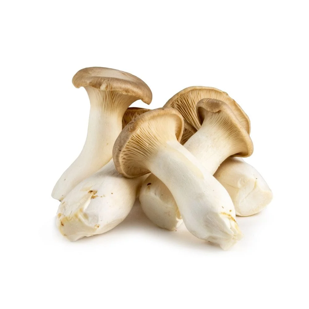 King Oyster Mushrooms
