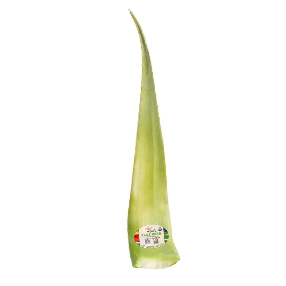 Organic Aloe Vera Leaves 3 Organic Aloe Vera Leaves