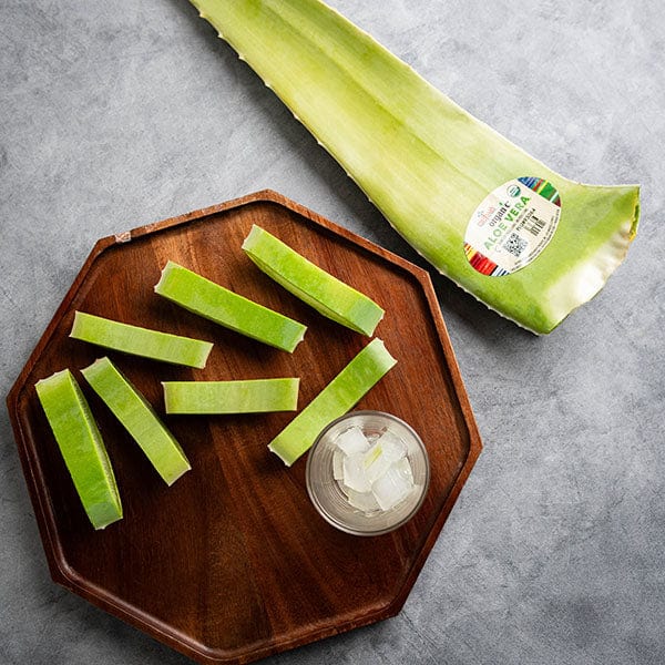 Organic Aloe Vera Leaves 2 Organic Aloe Vera Leaves